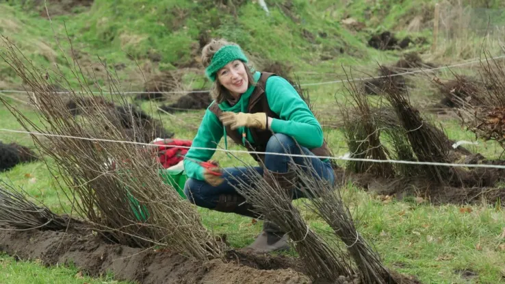 Een missie om veel heggen te planten Een missie om veel heggen te planten