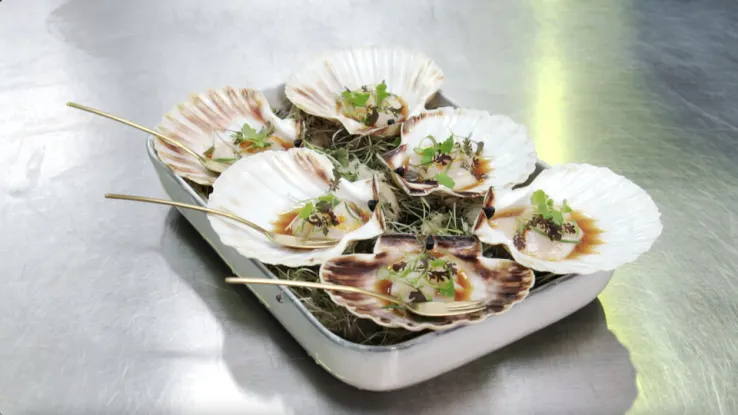 Rauwe coquilles Coquilles