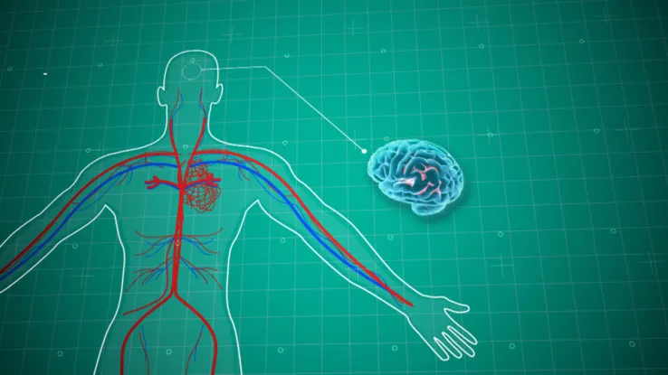 Wat is stress? In The Biohack Project wordt uitgelegd wat stress is. Wat is stress?