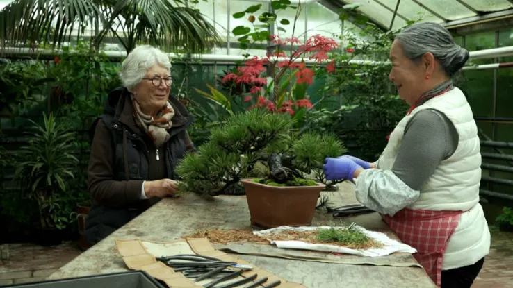 Vriendschap in een botanische tuin aan de Zuidas Vriendschap in een botanische tuin aan de Zuidas
