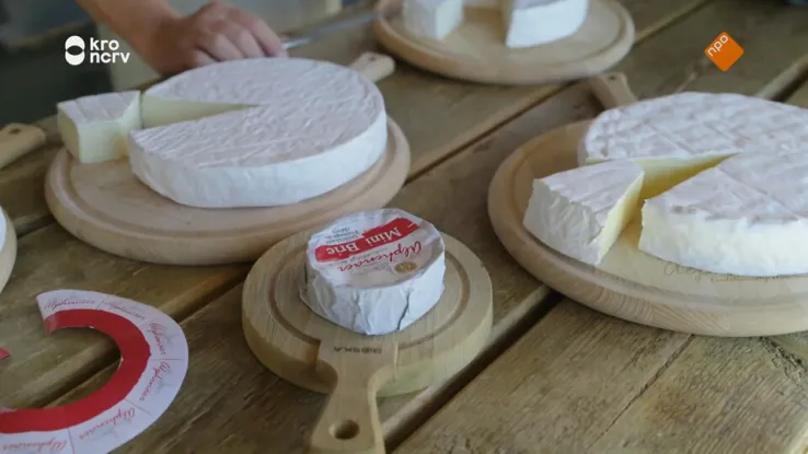 Wat is nou precies echte brie?