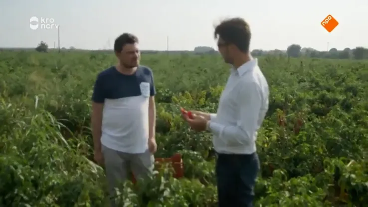 Hoe wordt sambal oelek gemaakt?