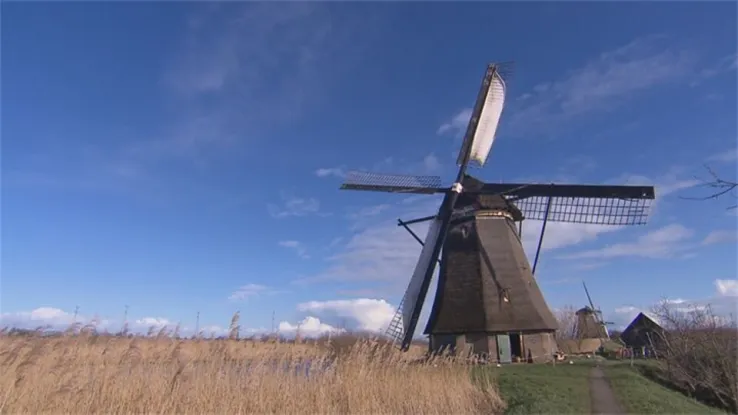 46wonen